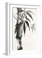 Sumi Bamboo-Chris Paschke-Framed Art Print
