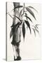 Sumi Bamboo-Chris Paschke-Stretched Canvas