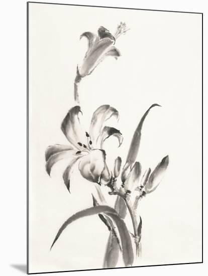 Sumi Daylily II-Chris Paschke-Mounted Art Print