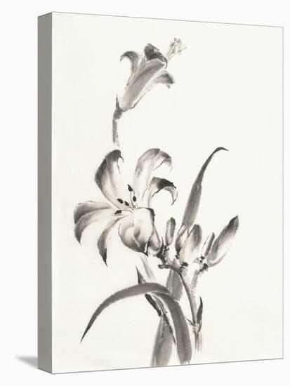 Sumi Daylily II-Chris Paschke-Stretched Canvas