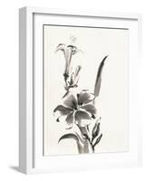 Sumi Daylily III-Chris Paschke-Framed Art Print