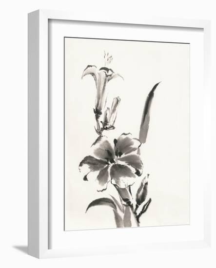 Sumi Daylily III-Chris Paschke-Framed Art Print