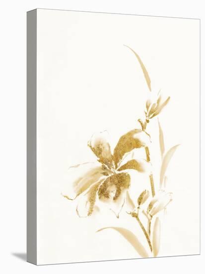 Sumi Daylily IV Gold-Chris Paschke-Stretched Canvas