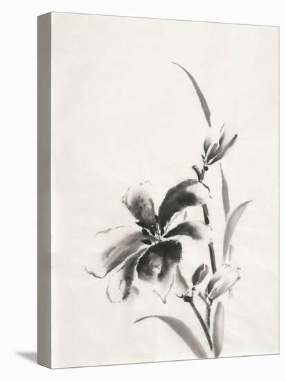 Sumi Daylily IV-Chris Paschke-Stretched Canvas