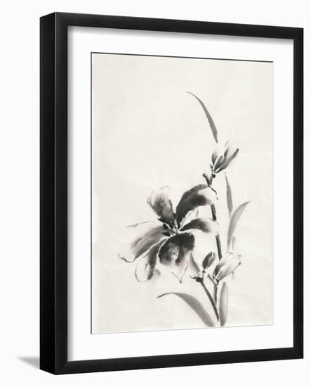 Sumi Daylily IV-Chris Paschke-Framed Art Print