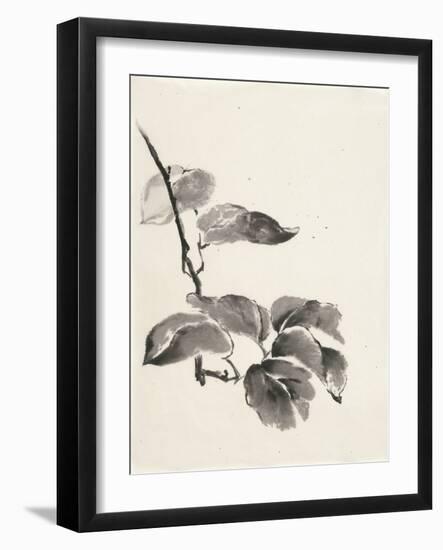 Sumi Kiwi Cream-Chris Paschke-Framed Art Print