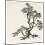 Sumi Tree I-Chris Paschke-Mounted Art Print