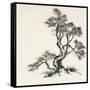 Sumi Tree I-Chris Paschke-Framed Stretched Canvas