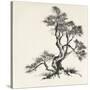 Sumi Tree I-Chris Paschke-Stretched Canvas