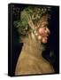 Summer, 1563-Giuseppe Arcimboldo-Framed Stretched Canvas