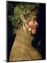 Summer, 1563-Giuseppe Arcimboldo-Mounted Premium Giclee Print