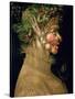 Summer, 1563-Giuseppe Arcimboldo-Stretched Canvas