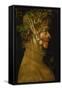 Summer, 1563-Giuseppe Arcimboldo-Framed Stretched Canvas