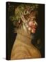 Summer, 1563-Giuseppe Arcimboldo-Stretched Canvas