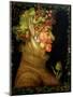 Summer, 1573-Giuseppe Arcimboldo-Mounted Giclee Print