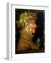 Summer, 1573-Giuseppe Arcimboldo-Framed Giclee Print