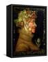 Summer, 1573-Giuseppe Arcimboldo-Framed Stretched Canvas