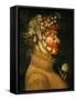 Summer, 1573-Giuseppe Arcimboldo-Framed Stretched Canvas