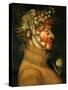 Summer, 1573-Giuseppe Arcimboldo-Stretched Canvas