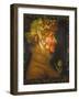 Summer, 1573-Giuseppe Arcimboldo-Framed Giclee Print