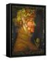 Summer, 1573-Giuseppe Arcimboldo-Framed Stretched Canvas