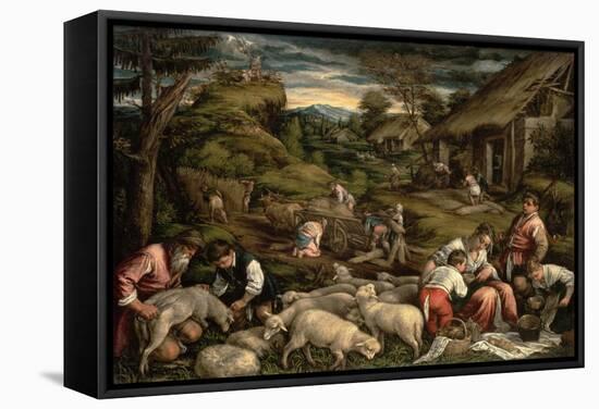 Summer, 1576-Francesco Bassano-Framed Stretched Canvas