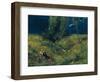 Summer, 1872-Hans Thoma-Framed Giclee Print