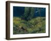 Summer, 1872-Hans Thoma-Framed Giclee Print