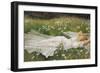 Summer, 1895-Walter Crane-Framed Giclee Print