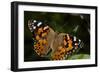 Summer 2012 #1114-Gordon Semmens-Framed Photographic Print