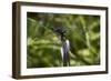 Summer 2012 #252-Gordon Semmens-Framed Photographic Print