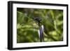 Summer 2012 #252-Gordon Semmens-Framed Photographic Print