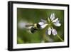 Summer 2012 #417-Gordon Semmens-Framed Photographic Print