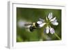 Summer 2012 #417-Gordon Semmens-Framed Photographic Print