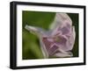 Summer 2012 #622-Gordon Semmens-Framed Photographic Print