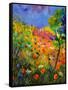 Summer 2014-Pol Ledent-Framed Stretched Canvas