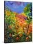 Summer 2014-Pol Ledent-Stretched Canvas