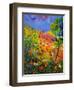 Summer 2014-Pol Ledent-Framed Art Print