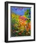 Summer 2014-Pol Ledent-Framed Art Print