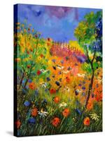 Summer 2014-Pol Ledent-Stretched Canvas