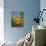 Summer 2014-Pol Ledent-Stretched Canvas displayed on a wall