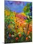 Summer 2014-Pol Ledent-Mounted Art Print