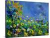 Summer 564121-Pol Ledent-Stretched Canvas