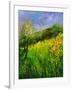 Summer 5641-Pol Ledent-Framed Art Print