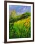 Summer 5641-Pol Ledent-Framed Art Print