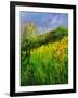 Summer 5641-Pol Ledent-Framed Art Print