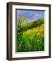 Summer 5641-Pol Ledent-Framed Art Print