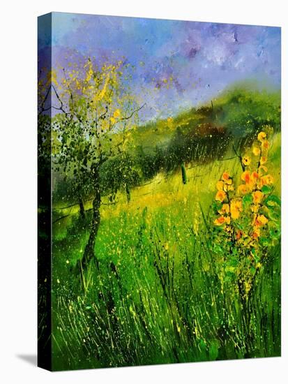 Summer 5641-Pol Ledent-Stretched Canvas