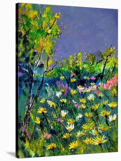 Summer 569031-Pol Ledent-Stretched Canvas