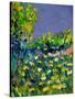 Summer 569031-Pol Ledent-Stretched Canvas